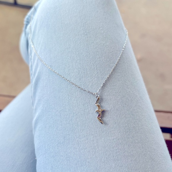 Taylor Swift Jewelry - T.S. 1989 seagull necklace.